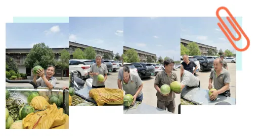 053abc26668607291b413a53f6058170.png